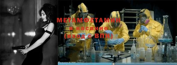 прущие грибы Осташков
