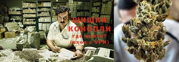 ПСИЛОЦИБИНОВЫЕ ГРИБЫ Переславль-Залесский