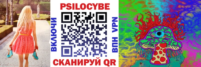 блэк спрут   Пудож  Галлюциногенные грибы Psilocybine cubensis  купить  сайты 